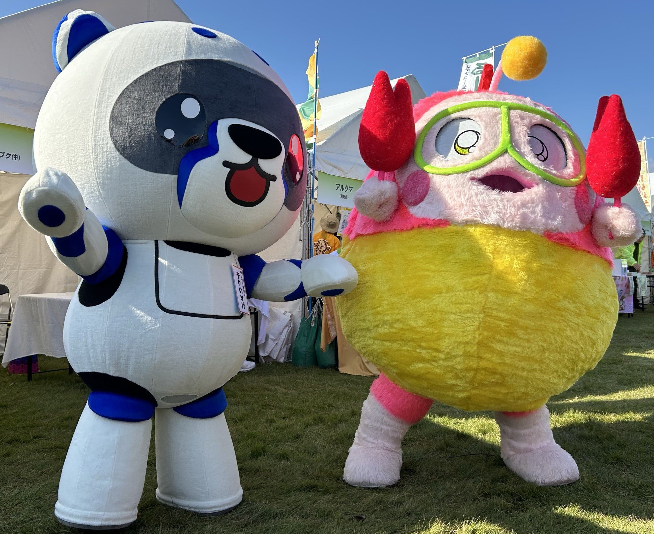 テクのすけがゆるバースin能登(旧ゆるキャラグランプリ)に初挑戦しま